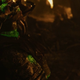 RIP, Berserker.